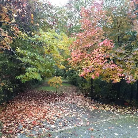 Σπίτι διακοπών Quinta Do Tanquinho Μπράγκα