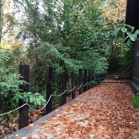 Holiday home Quinta Do Tanquinho Braga