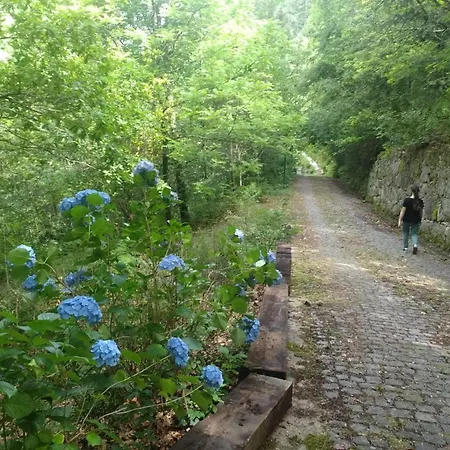 Quinta Do Tanquinho *