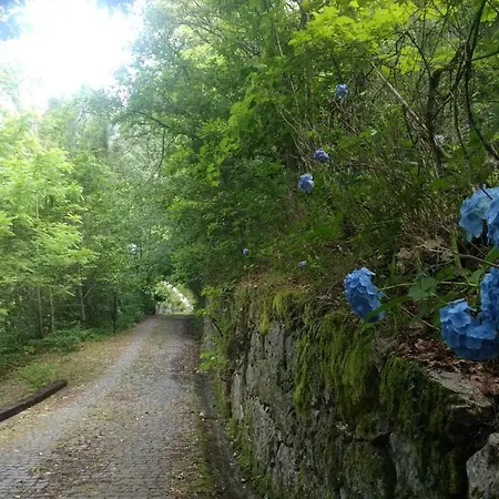 Quinta Do Tanquinho Σπίτι διακοπών Μπράγκα