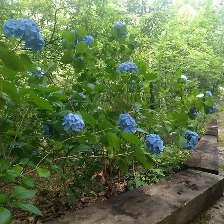Будинок відпочинку Quinta Do Tanquinho Брага