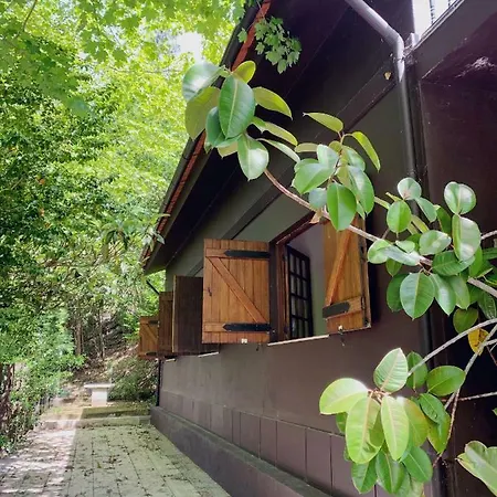 Quinta Do Tanquinho *