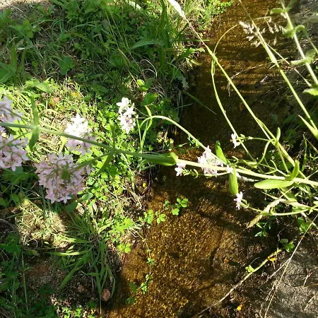 Quinta Do Tanquinho Μπράγκα